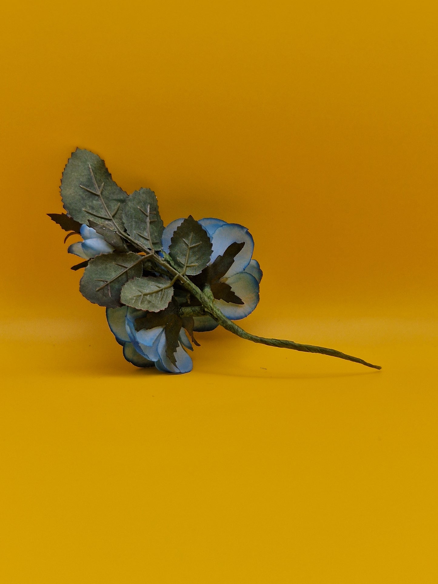 Flamenco haar bloem "Amigos"