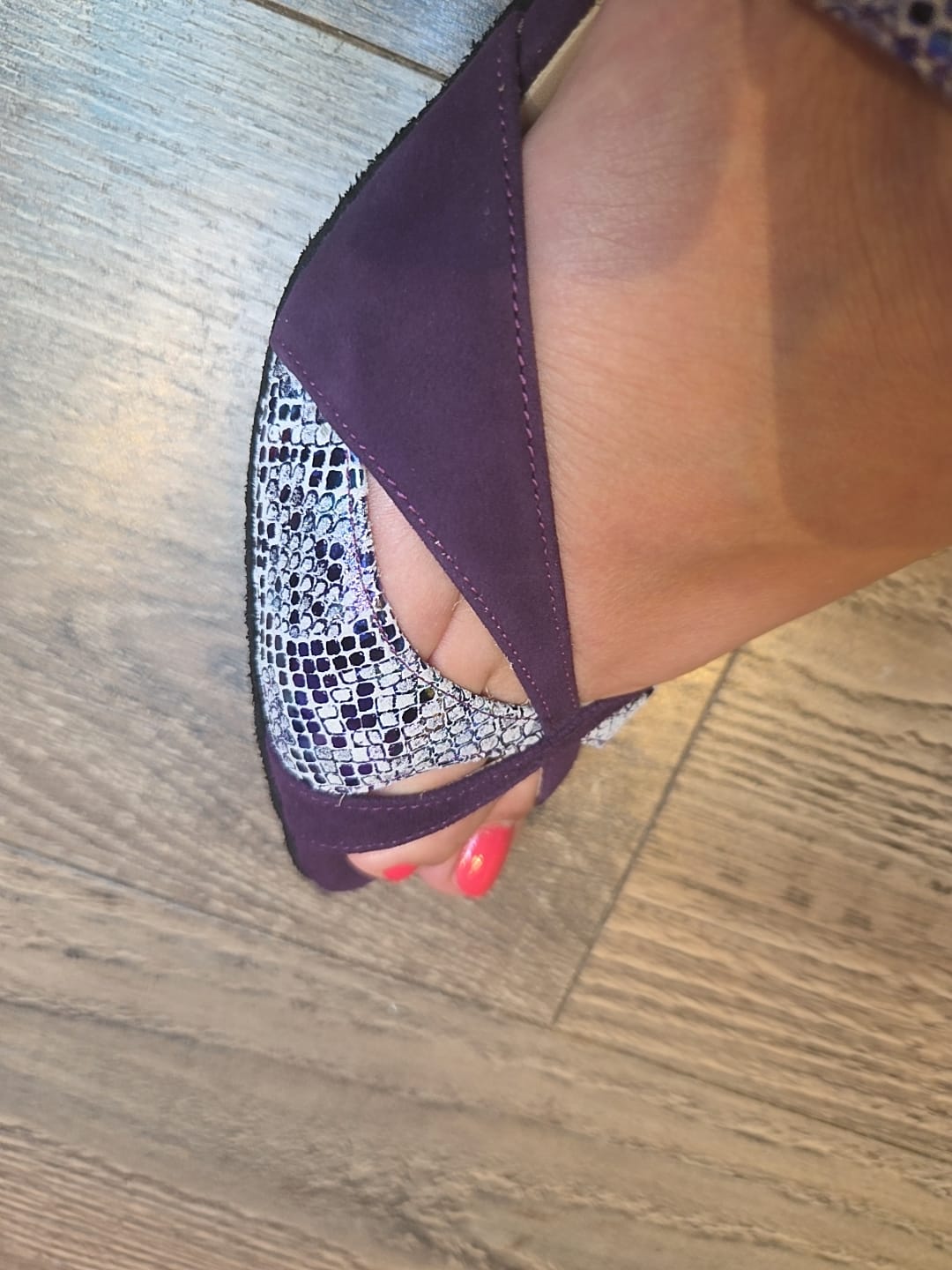 Upcyceled DanceShoes Merlet Sabia