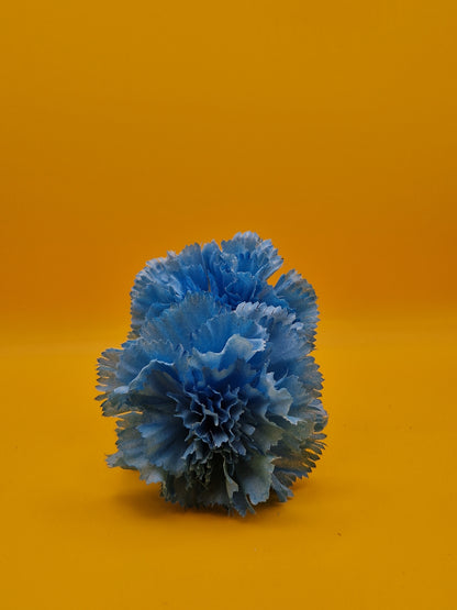 Flamenco haar bloem "Dos Amigos"